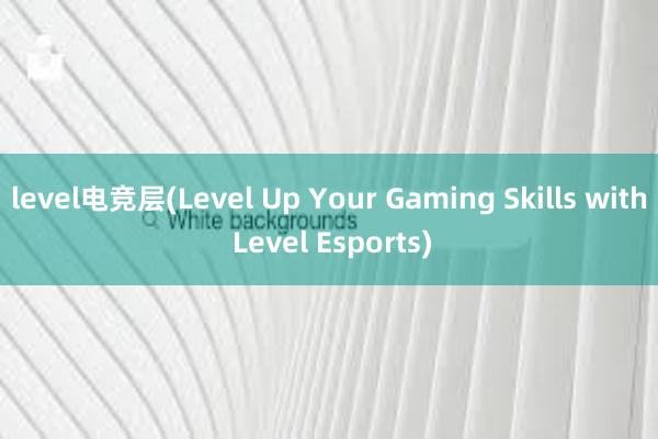 level电竞层(Level Up Your Gaming Skills with Level Esports)