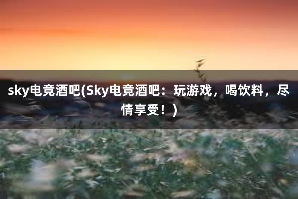 sky电竞酒吧(Sky电竞酒吧：玩游戏，喝饮料，尽情享受！)