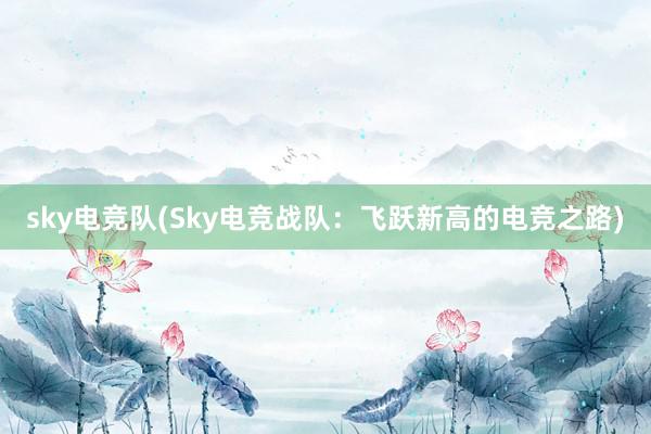 sky电竞队(Sky电竞战队：飞跃新高的电竞之路)