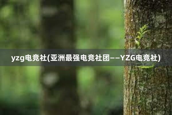 yzg电竞社(亚洲最强电竞社团——YZG电竞社)