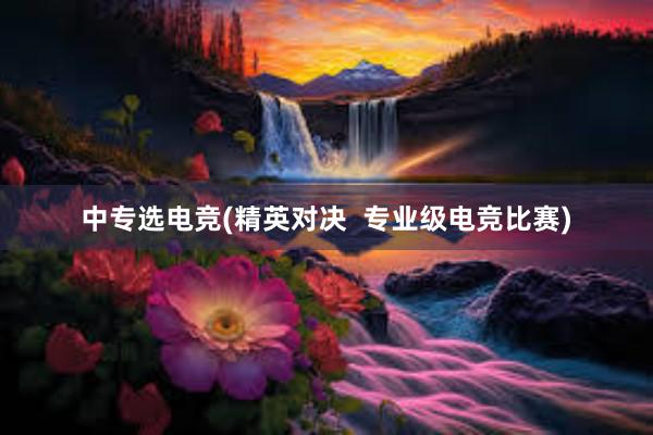 中专选电竞(精英对决  专业级电竞比赛)