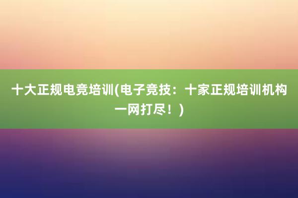 十大正规电竞培训(电子竞技：十家正规培训机构一网打尽！)