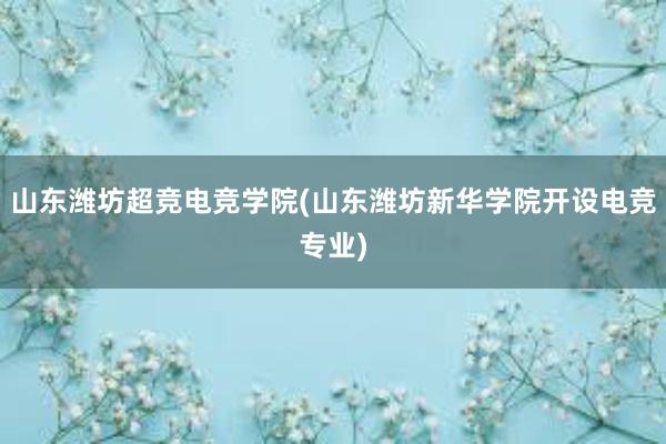 山东潍坊超竞电竞学院(山东潍坊新华学院开设电竞专业)