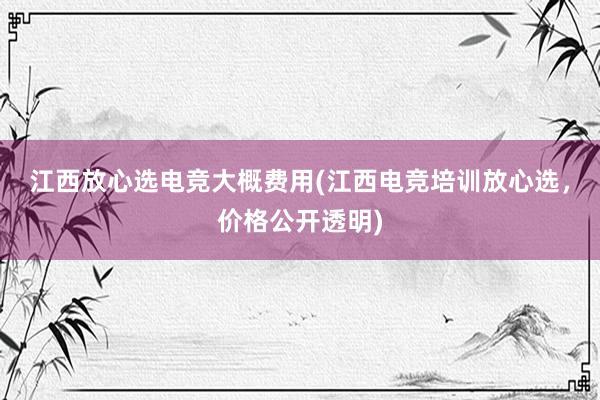 江西放心选电竞大概费用(江西电竞培训放心选，价格公开透明)