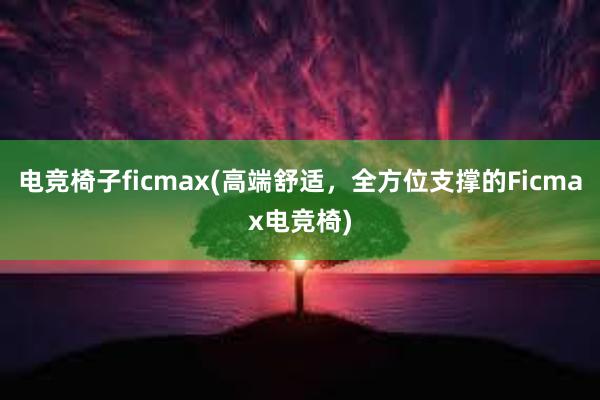 电竞椅子ficmax(高端舒适，全方位支撑的Ficmax电竞椅)