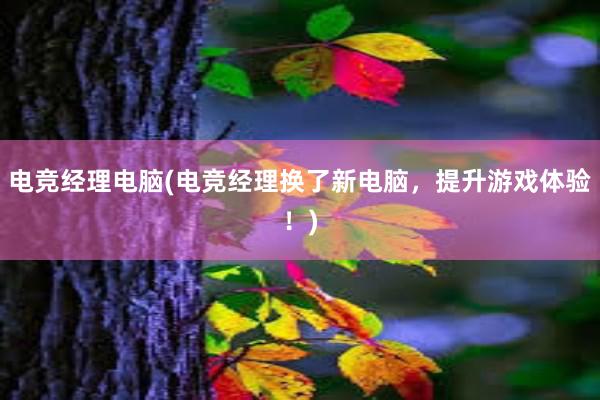 电竞经理电脑(电竞经理换了新电脑，提升游戏体验！)