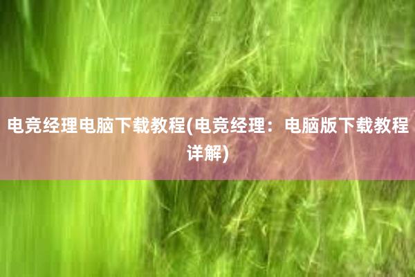 电竞经理电脑下载教程(电竞经理：电脑版下载教程详解)