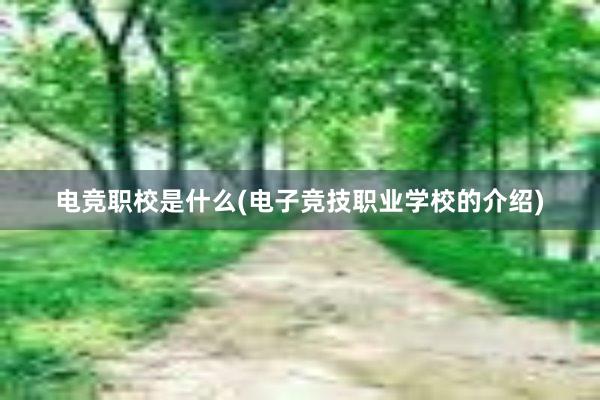 电竞职校是什么(电子竞技职业学校的介绍)