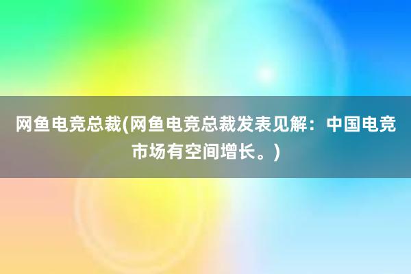 网鱼电竞总裁(网鱼电竞总裁发表见解：中国电竞市场有空间增长。)