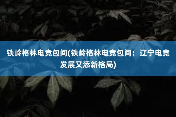 铁岭格林电竞包间(铁岭格林电竞包间：辽宁电竞发展又添新格局)