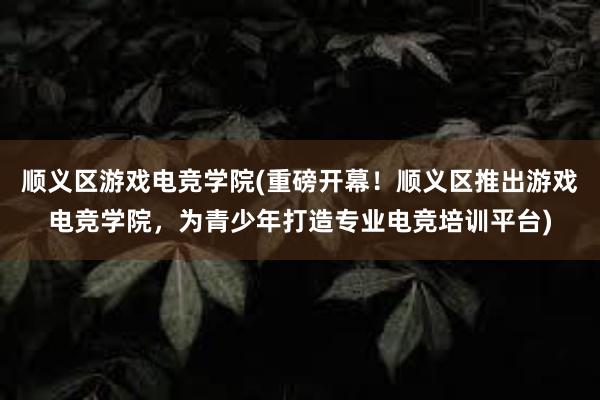 顺义区游戏电竞学院(重磅开幕！顺义区推出游戏电竞学院，为青少年打造专业电竞培训平台)