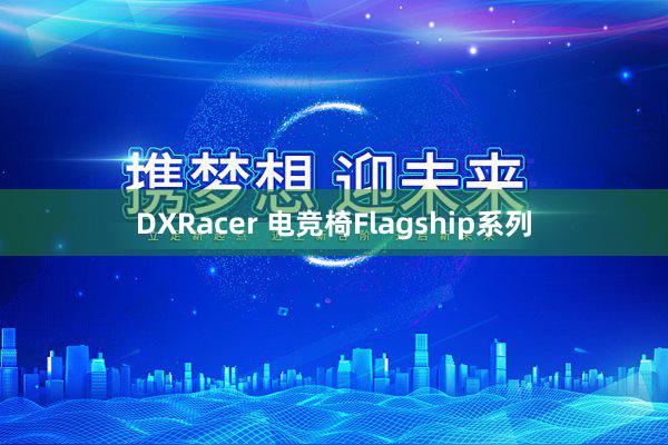 DXRacer 电竞椅Flagship系列