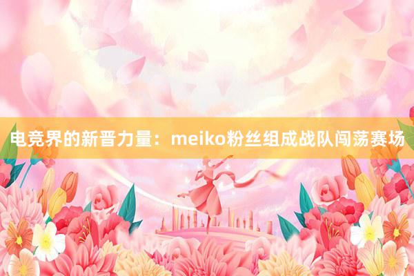 电竞界的新晋力量：meiko粉丝组成战队闯荡赛场