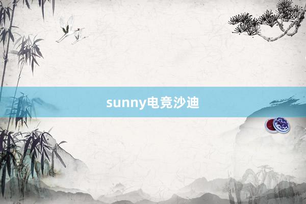 sunny电竞沙迪