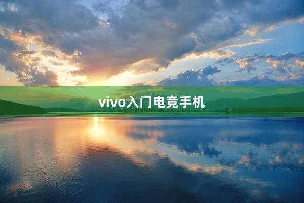 vivo入门电竞手机