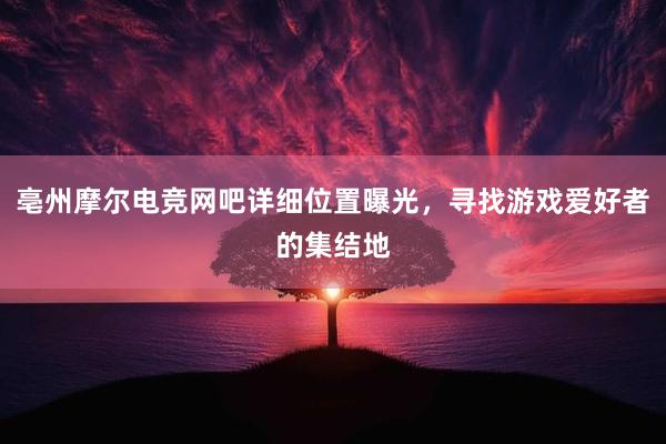 亳州摩尔电竞网吧详细位置曝光，寻找游戏爱好者的集结地