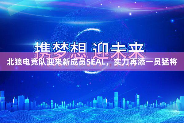 北狼电竞队迎来新成员SEAL，实力再添一员猛将