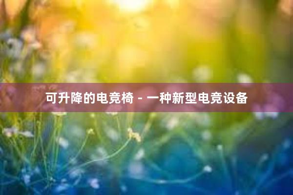 可升降的电竞椅 - 一种新型电竞设备