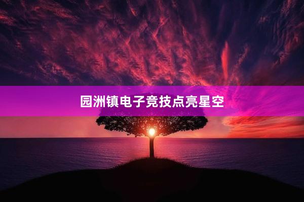 园洲镇电子竞技点亮星空