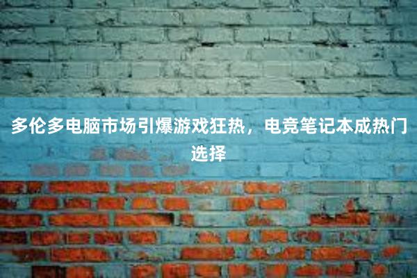 多伦多电脑市场引爆游戏狂热，电竞笔记本成热门选择