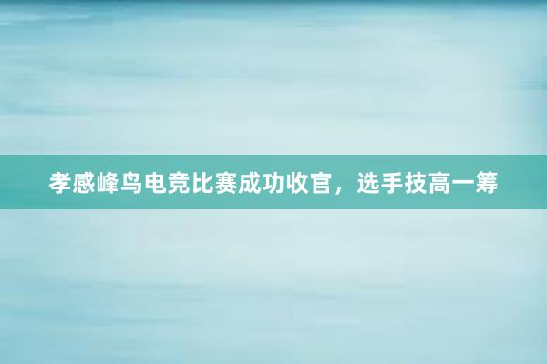 孝感峰鸟电竞比赛成功收官，选手技高一筹