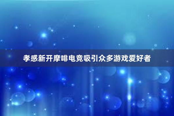 孝感新开摩啡电竞吸引众多游戏爱好者