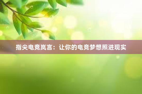 指尖电竞岚言：让你的电竞梦想照进现实