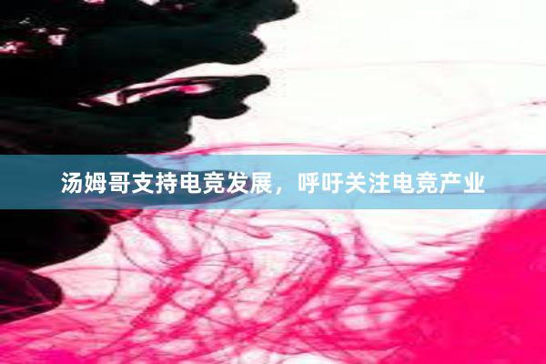 汤姆哥支持电竞发展，呼吁关注电竞产业