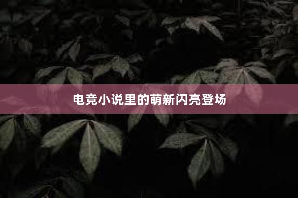 电竞小说里的萌新闪亮登场