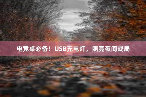 电竞桌必备！USB充电灯，照亮夜间战局