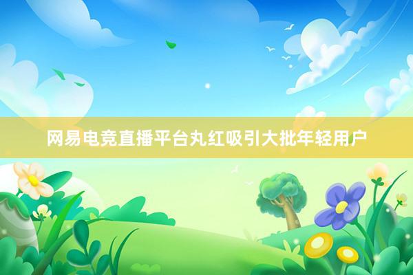 网易电竞直播平台丸红吸引大批年轻用户