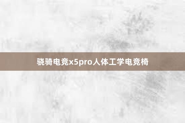 骁骑电竞x5pro人体工学电竞椅